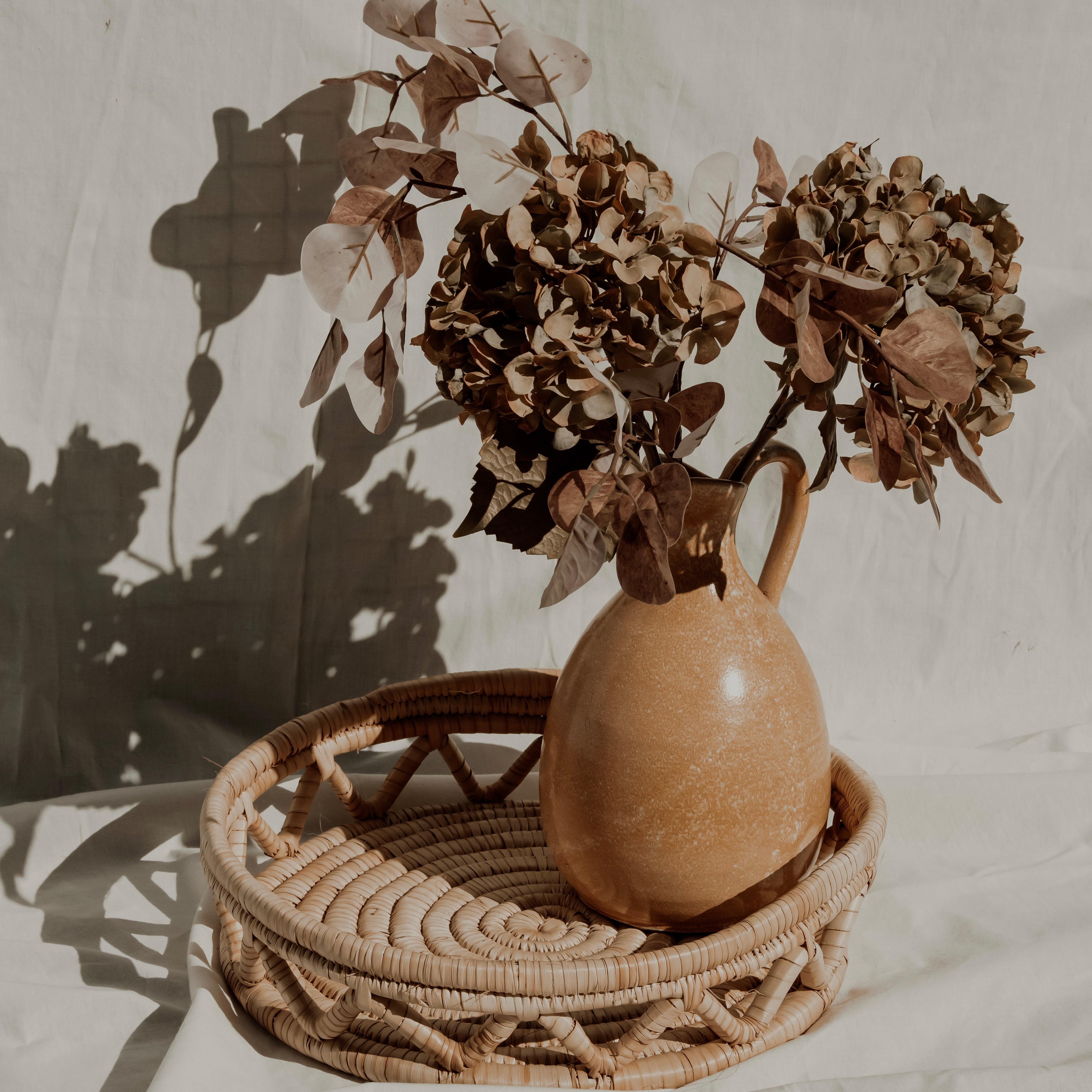 Collections – The Common Ground