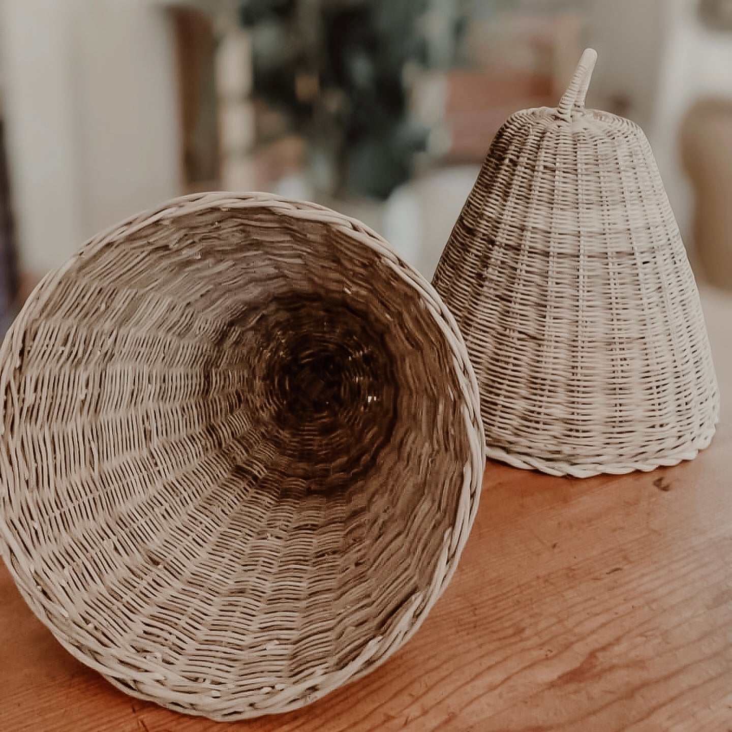 Rattan Cloche