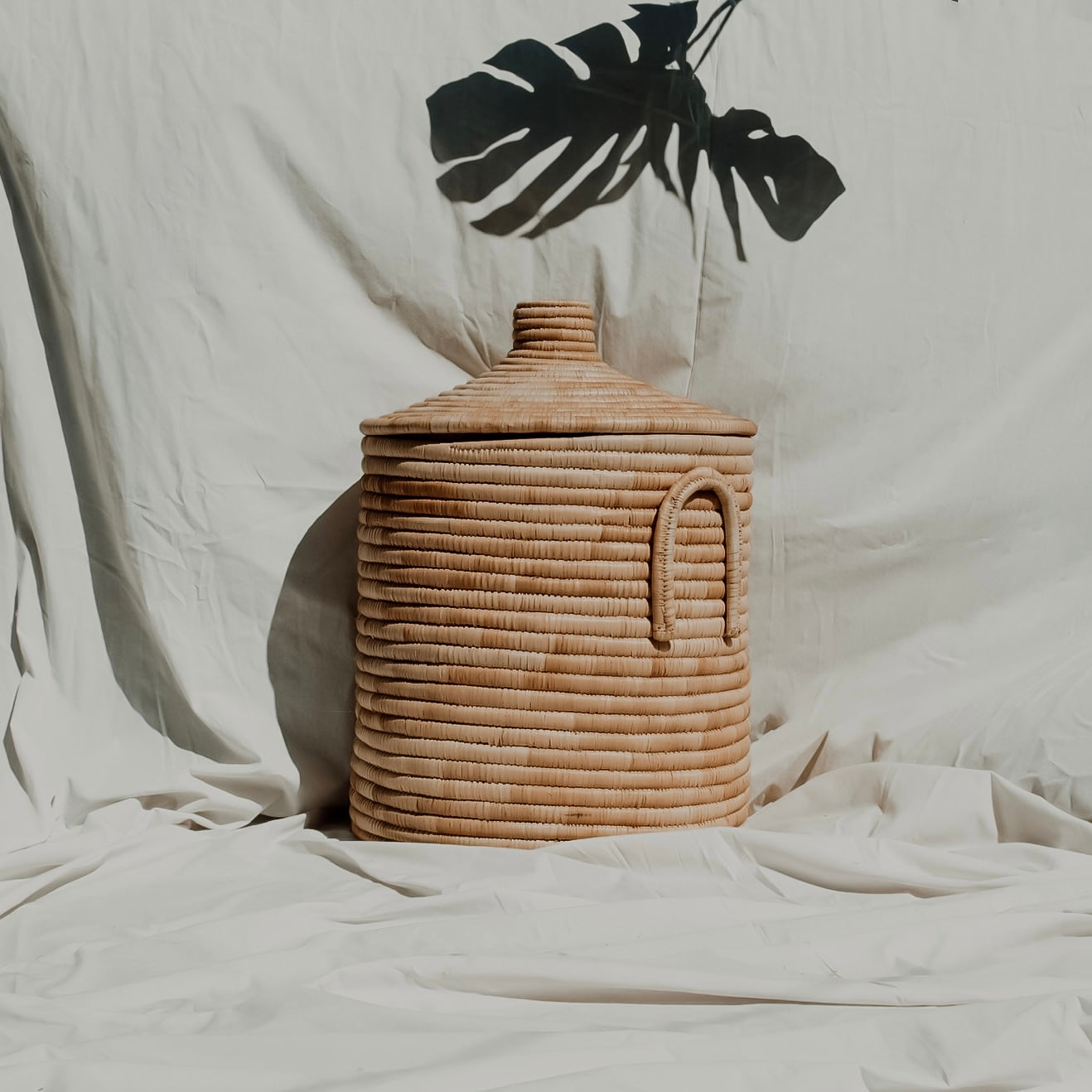 Laundry Basket (Dome lid)