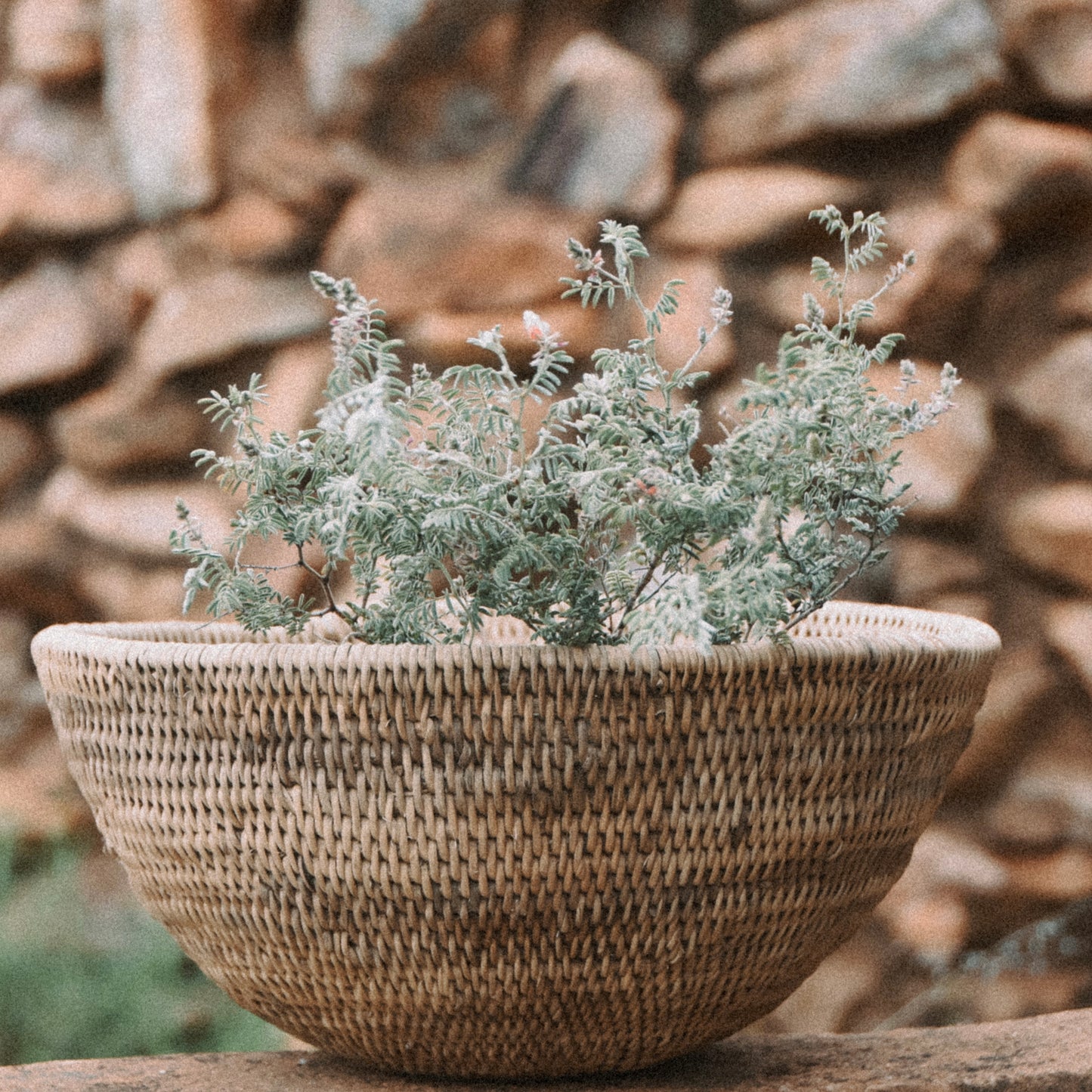 Buhera Fruit Bowls