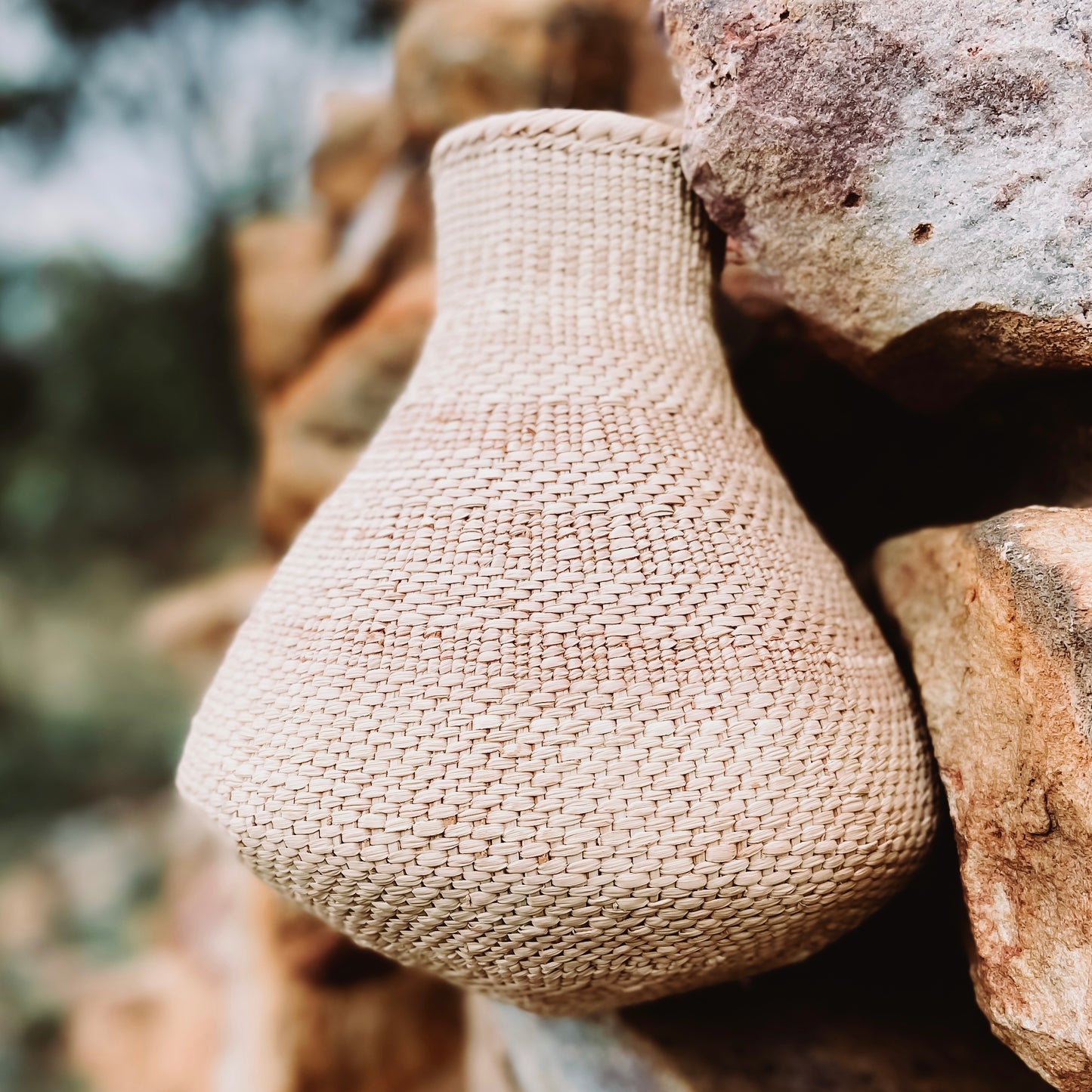 Calabash Gourds